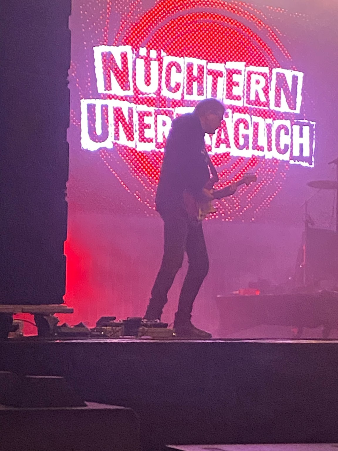 Gitarrist vor Nüchtern-Unerträglich-Bühnenlogo beim Festivalkult 2026